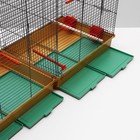 Клетка пролётная, 100×37×65 см, 4 яруса, МИКС - Фото 12