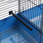 Клетка пролётная, 100×37×65 см, 4 яруса, МИКС - Фото 7