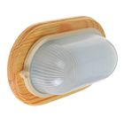 Светильник для бани/сауны ITALMAC Termo 60 20 18, до 100 Вт, IP54, цвет береза, до +130°C - Фото 1