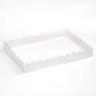Коробочка для печенья с PVC крышкой, белая, 22 х 15 х 3 см - Фото 2