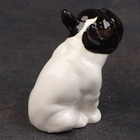 Фигурка фарфоровая «Французский Бульдог», бело-чёрный, 8 см, авторская роспись - Фото 3