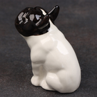 Фигурка фарфоровая «Французский Бульдог», бело-чёрный, 8 см, авторская роспись - Фото 4