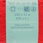 Пряжа "Весенняя" 100% мерсеризованный хлопок 250м/100гр (06-Красный) - Фото 3