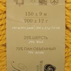Пряжа "Осенняя" 25% шерсть, 75% ПАН 150м/200гр (340-Листопад) - Фото 3