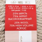 Пряжа "Осенняя" 25% шерсть, 75% ПАН 150м/200гр (43-Суровый лен) 2444307 - фото 13823187