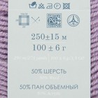 Пряжа "Удачная" 50% шерсть, 50% акрил 250м/100гр (22-Сирень) - Фото 3