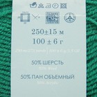 Пряжа "Удачная" 50% шерсть, 50% акрил 250м/100гр (335-Изумруд) - Фото 3