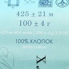 Пряжа "Хлопок натуральный" 100% хлопок 425м/100гр (63-Льдинка) - Фото 4