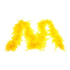 Карнавальный шарф-перо, 200 см, цвета МИКС - Фото 1