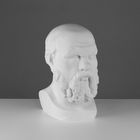 Гипсовая фигура Голова Сократа, 20 х 20 х 38,5 см - фото 8564307