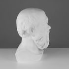 Гипсовая фигура Голова Сократа, 20 х 20 х 38,5 см - фото 9391958