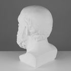 Гипсовая фигура Голова Сократа, 20 х 20 х 38,5 см - Фото 3