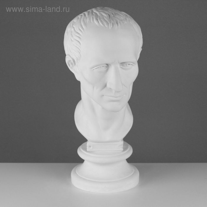 Гипсовая фигура Голова Цезаря, 20 х 27 х 52 см - Фото 1