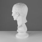 Гипсовая фигура Голова Цезаря, 20 х 27 х 52 см - Фото 3