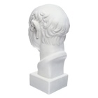 Гипсовая фигура Голова римлянина, 25 х 25 х 60 см - Фото 6