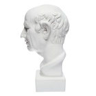 Гипсовая фигура Голова римлянина, 25 х 25 х 60 см - Фото 7
