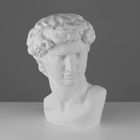 Гипсовая фигура Давида Микеланджело, 30 х 28 х 46 см - Фото 1