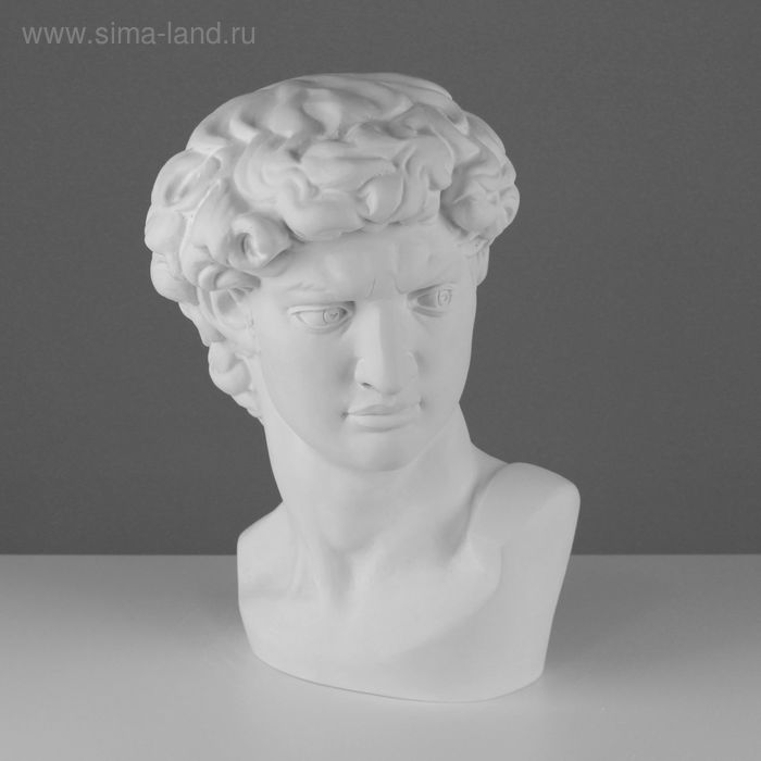 Гипсовая фигура Давида Микеланджело, 30 х 28 х 46 см - Фото 1