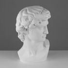 Гипсовая фигура Давида Микеланджело, 30 х 28 х 46 см - фото 9391967