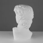 Гипсовая фигура Давида Микеланджело, 30 х 28 х 46 см - фото 9391968