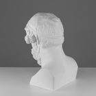 Гипсовая фигура Бюст Гомера, 27,5 х 30 х 44 см - Фото 3