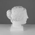 Гипсовая фигура Голова Венеры Милосской, 22 х 32 х 35 см - Фото 2
