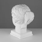 Гипсовая фигура Голова Венеры Милосской, 22 х 32 х 35 см - фото 8869257