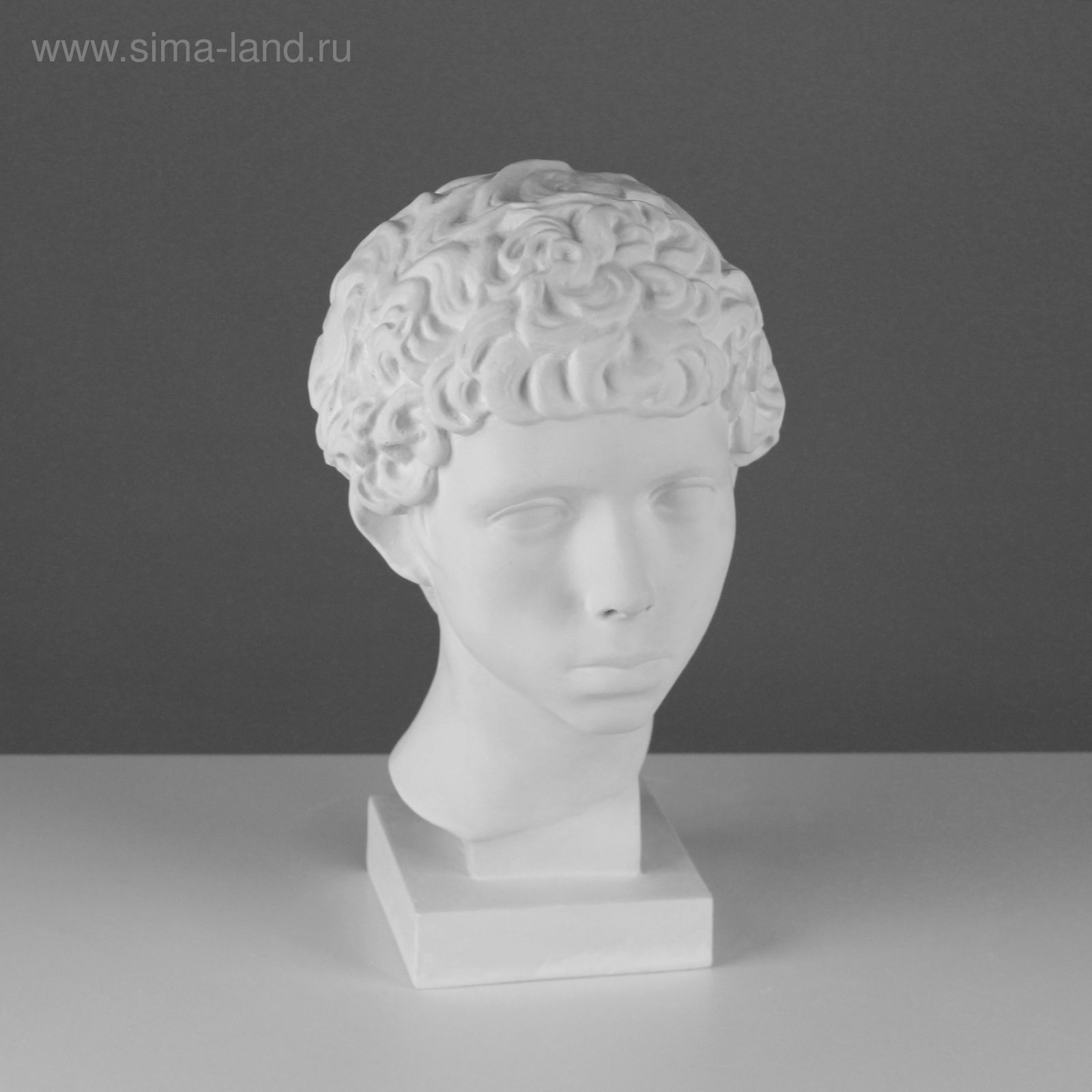 Гипсовая голова давида. Бюст сенеки. Гипсовые головы какие. Гипсовые головы какие. Гипсовый бюст антиной.