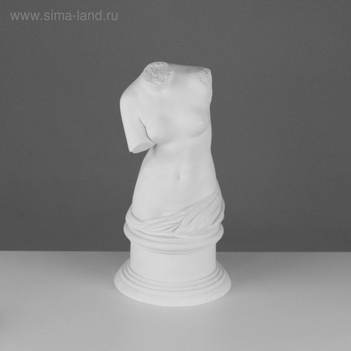 Гипсовая фигура Торс Венеры Милосской, 20 х 20 х 36 см - Фото 1