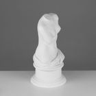 Гипсовая фигура Торс Венеры Милосской, 20 х 20 х 36 см - фото 8930385
