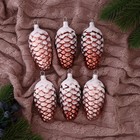 Ёлочные игрушки «Шишки сосновые» микс, (набор 6 шт.) h=9 см - Фото 1