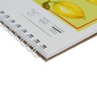Блокнот-скетчбук А4, 40 листов, на гребне, Sketchbook, обложка мелованный картон, матовая ламинация, жёсткая подложка, блок офсет 100 г/м2, МИКС - Фото 6