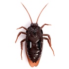 Жук радиоуправляемый «Таракан», работает от батареек, свет - Фото 5