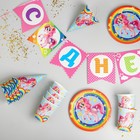 Посуда бумажная одноразовая «Красавица пони», 6 тарелок, 6 стаканов, 6 колпаков, 1 гирлянда - Фото 2