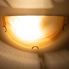 Светильник Дюна "Флави" 1 лампа E27 40Вт коричневый - Фото 3