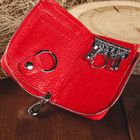 Ключница на молнии, 1 отдел, карман для карт, кольцо, карабины, цвет красный - Фото 3