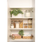 Бутылка для соусов и масла Доляна «Галерея», 80 мл, 5×11 см, с бугельным замком, стекло, прозрачная - Фото 7