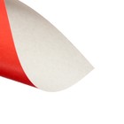 Картон цветной Calligrata «Попугай», А4, 16 листов, 8 цветов, глянцевый, мелованный - Фото 7