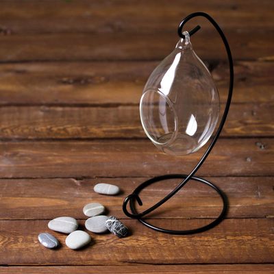 Флорариум «На подвесе», h=23 см, 12×7.5 см, капелька d=5.5×4.5 см