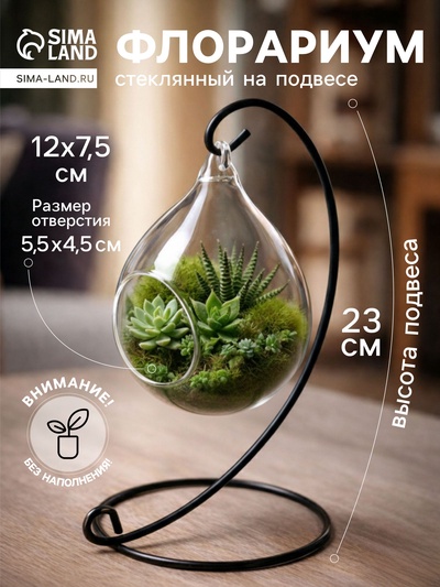 Флорариум «На подвесе», h=23 см, 12×7.5 см, капелька d=5.5×4.5 см