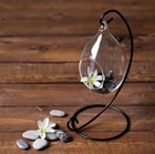 Флорариум «На подвесе», h=23 см, 12×7.5 см, капелька d=5.5×4.5 см 2329278