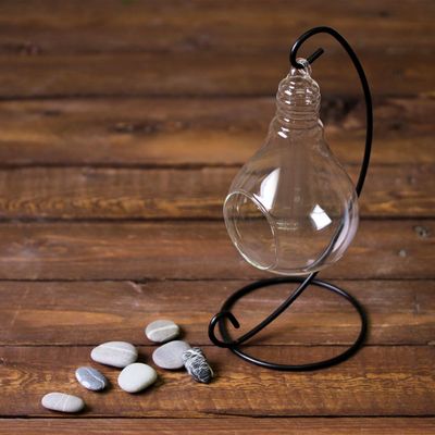 Флорариум «На подвесе», 23 см лампочка, 15×9 см, d=5.5 см