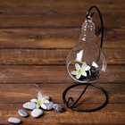 Флорариум «На подвесе», 23 см лампочка, 15×9 см, d=5.5 см  (артикул 2329279)  большой выбор товаров оптом и в розницу по низким ценам с доставкой