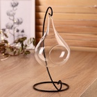 Флорариум «Груша», на подвесе, 23×15×9 см, стекло, прозрачный - Фото 2