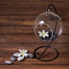 Флорариум «Сфера», на подвесе, d отверстия 6 см, 23×13×11 см  (артикул 2329281)  большой выбор товаров оптом и в розницу по низким ценам с доставкой