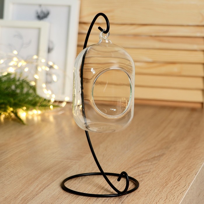 Флорариум «Цилиндр», на подвесе, 12×8 см, h=23 см, стекло, прозрачный, чёрный - Фото 1