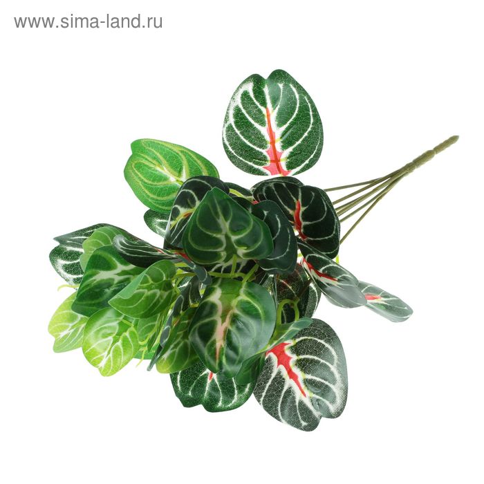 Букет "Эфес" 25 см - Фото 1