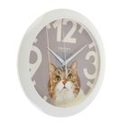 Часы настенные, серия: Животный мир, "Кот", d=29 см, белый обод - Фото 2