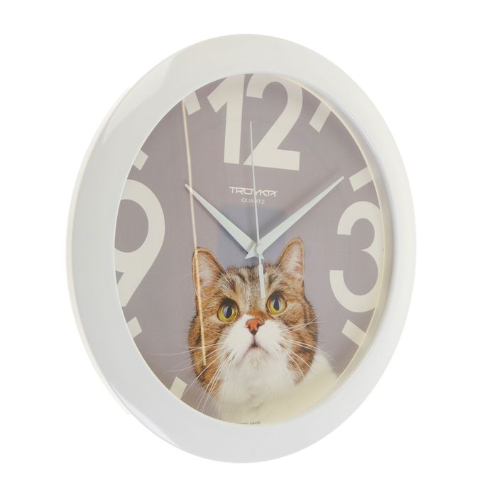 Часы настенные, серия: Животный мир, "Кот", d=29 см, белый обод - фото 1905415453
