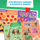 Книжка картонная с окошками «Цифры», 10 стр. - Фото 3